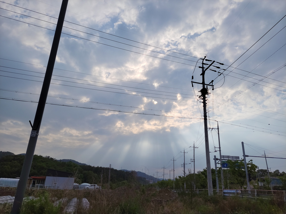 9379ffd7d4b48c8467621cfa156cb3f5_1653186877_5017.jpeg